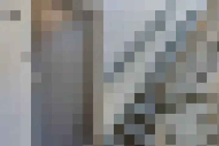 Sterrebosweg 31 Wijchen thumbnail 17