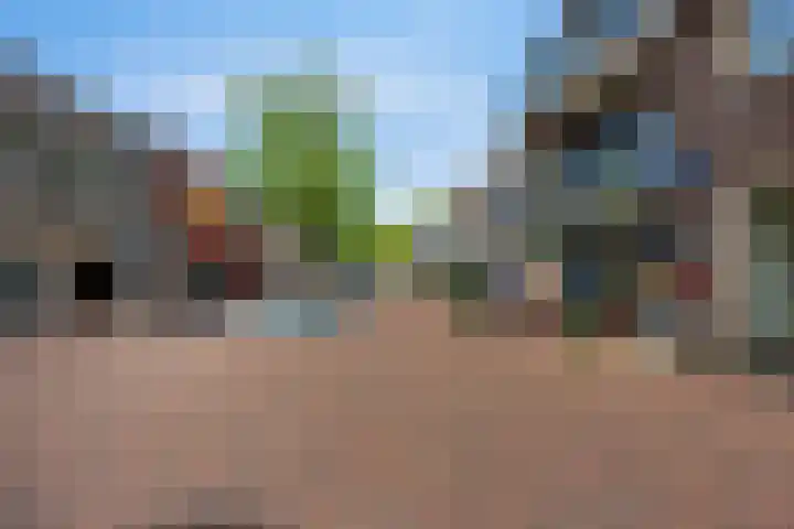 Sterrebosweg 31 Wijchen thumbnail 20