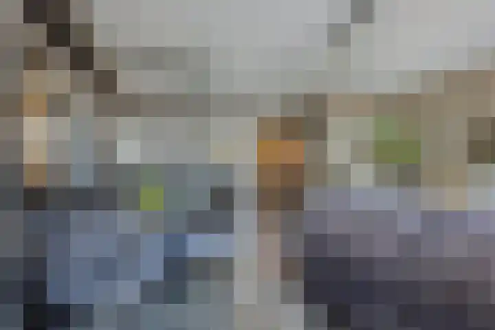 Sterrebosweg 31 Wijchen thumbnail 4