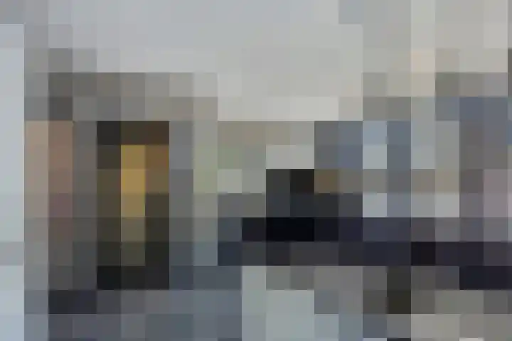 Sterrebosweg 31 Wijchen thumbnail 7