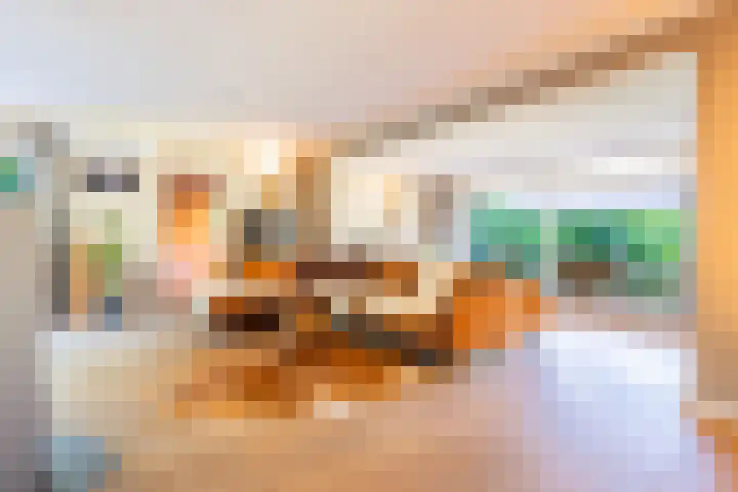 Sterrebosweg 6 Dalfsen thumbnail 10