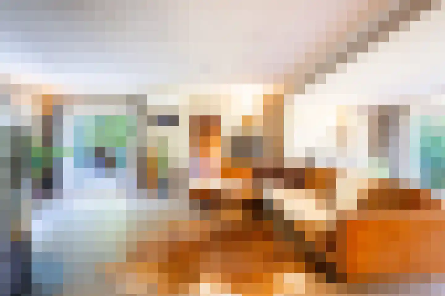Sterrebosweg 6 Dalfsen thumbnail 11