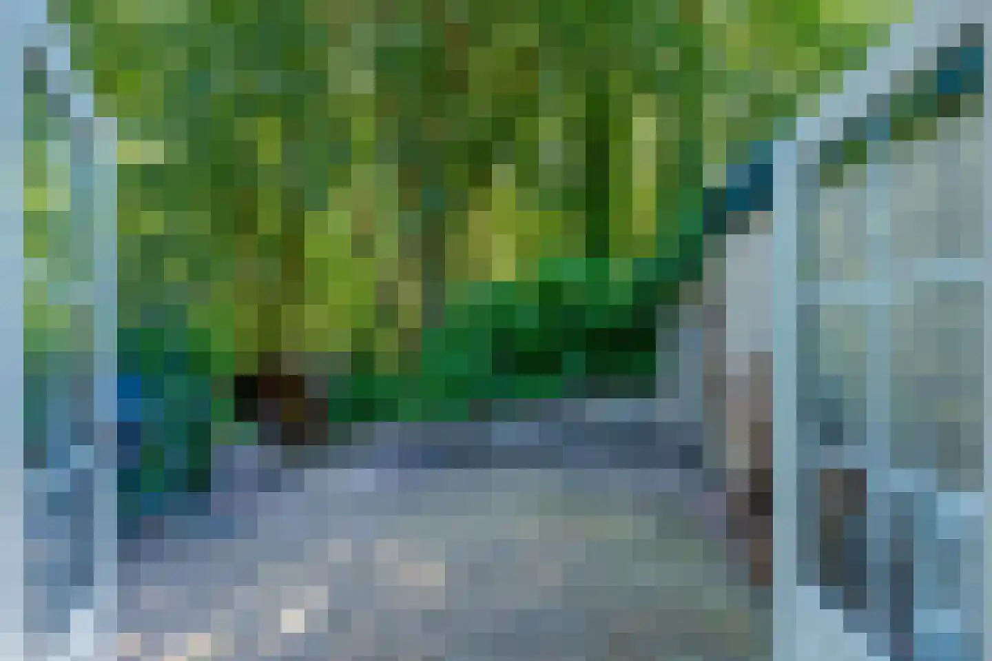 Sterrebosweg 6 Dalfsen thumbnail 12