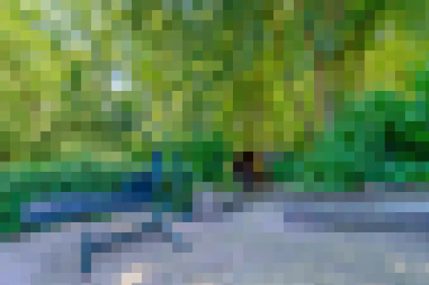 Sterrebosweg 6 Dalfsen thumbnail 13