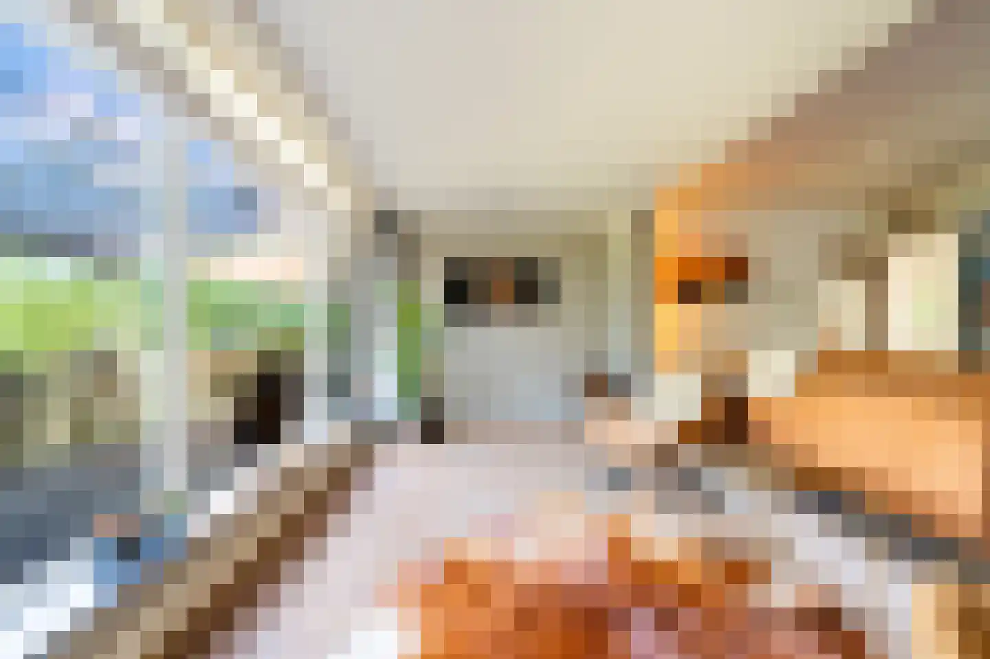 Sterrebosweg 6 Dalfsen thumbnail 15