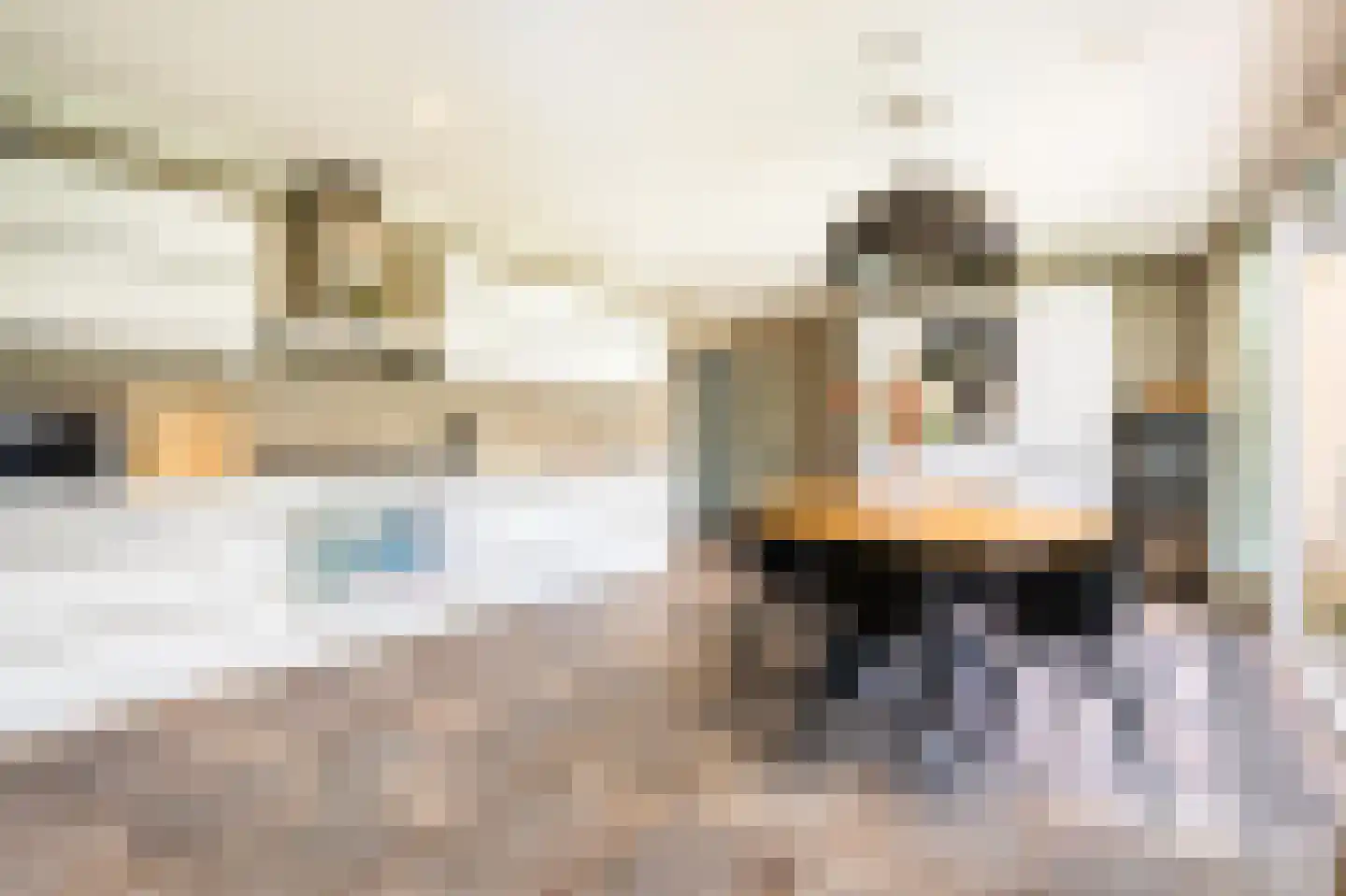 Sterrebosweg 6 Dalfsen thumbnail 20