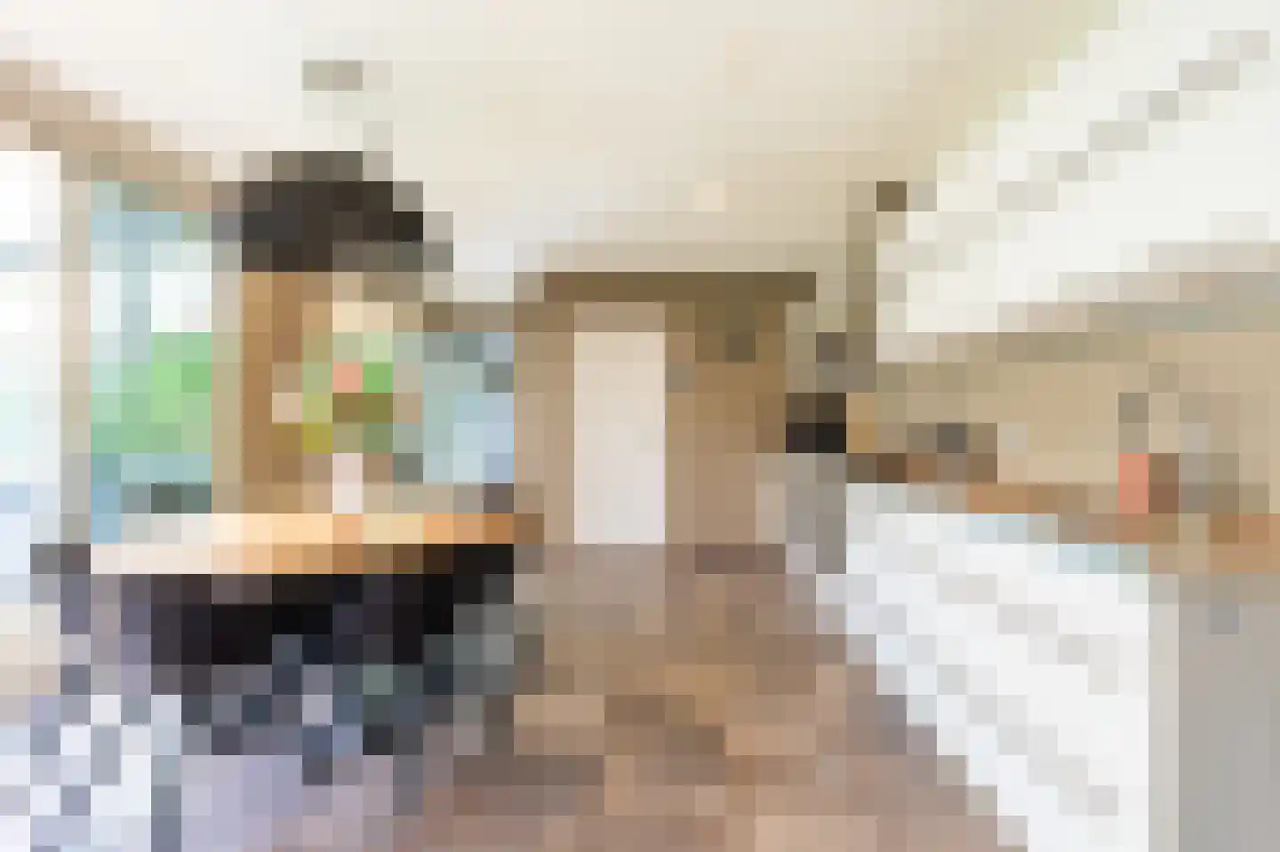 Sterrebosweg 6 Dalfsen thumbnail 21