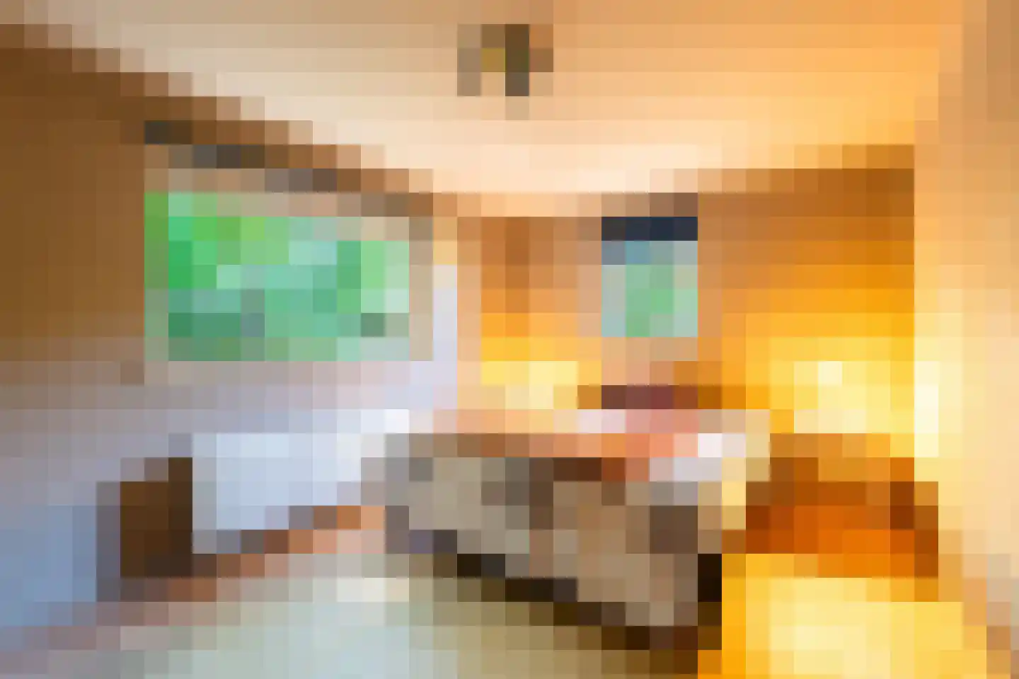 Sterrebosweg 6 Dalfsen thumbnail 23