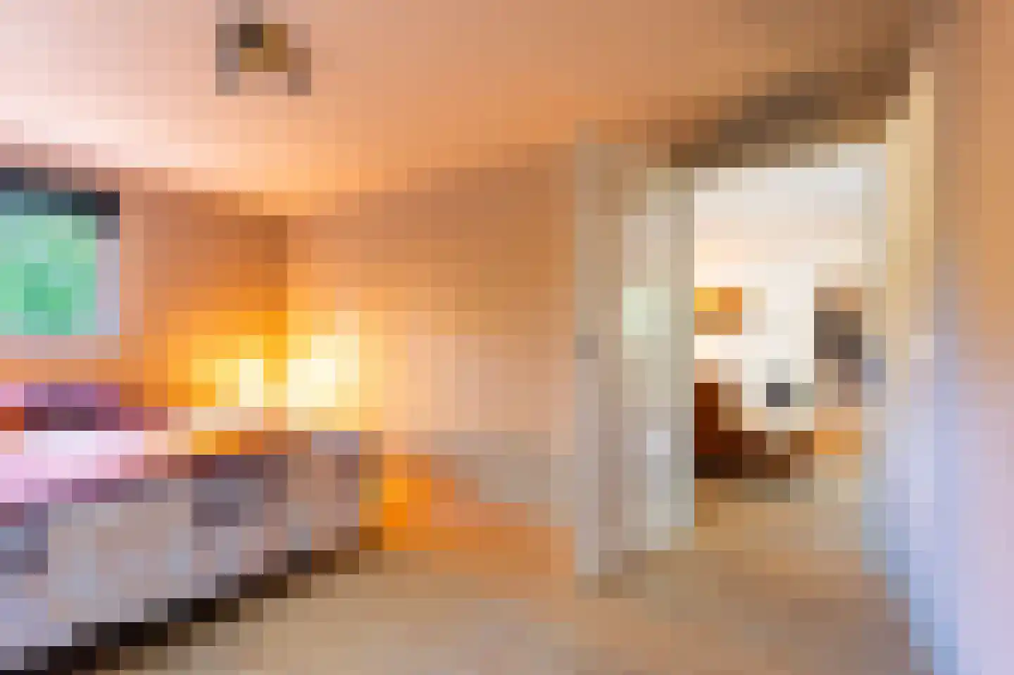 Sterrebosweg 6 Dalfsen thumbnail 24