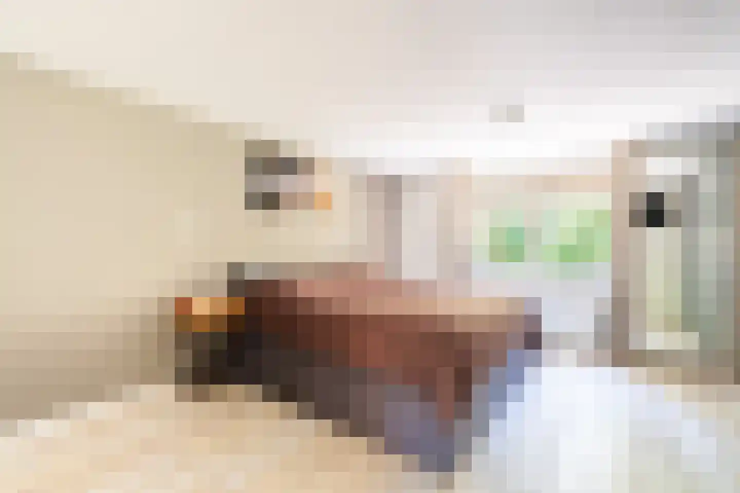 Sterrebosweg 6 Dalfsen thumbnail 30