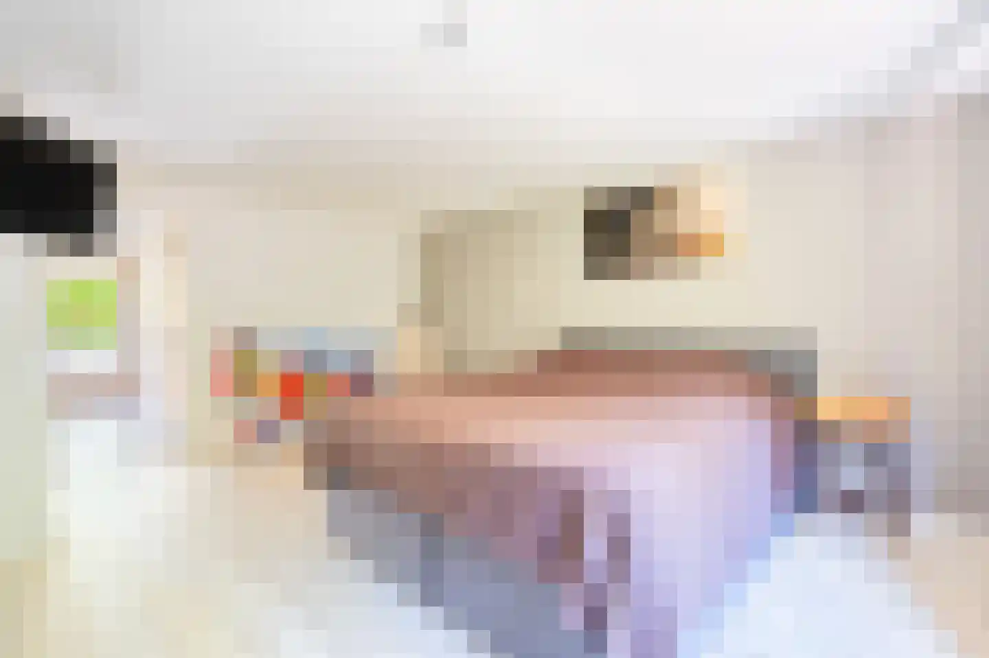 Sterrebosweg 6 Dalfsen thumbnail 32