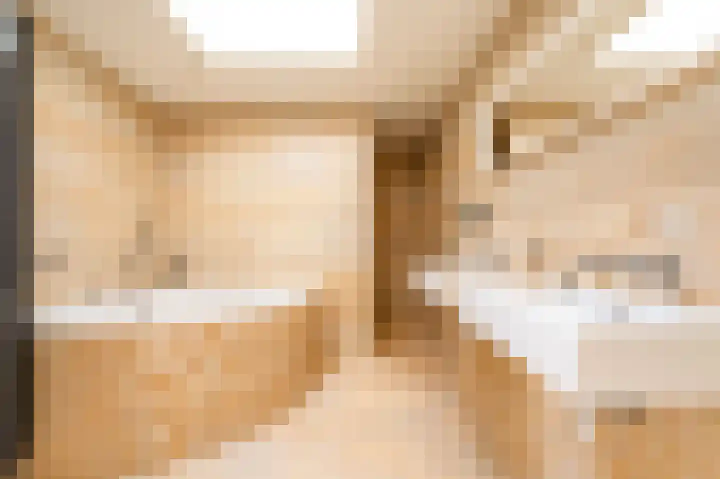 Sterrebosweg 6 Dalfsen thumbnail 33