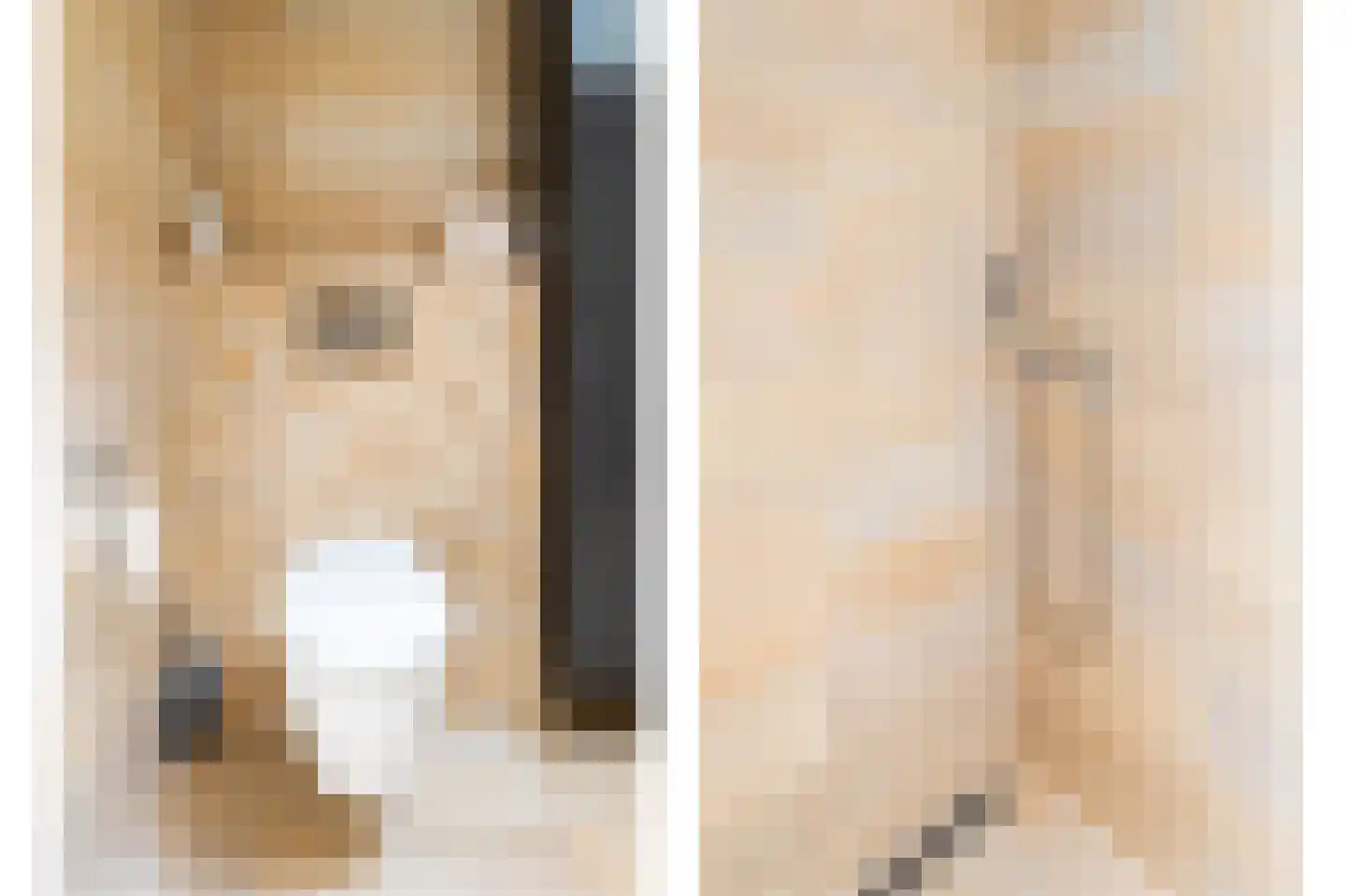 Sterrebosweg 6 Dalfsen thumbnail 35