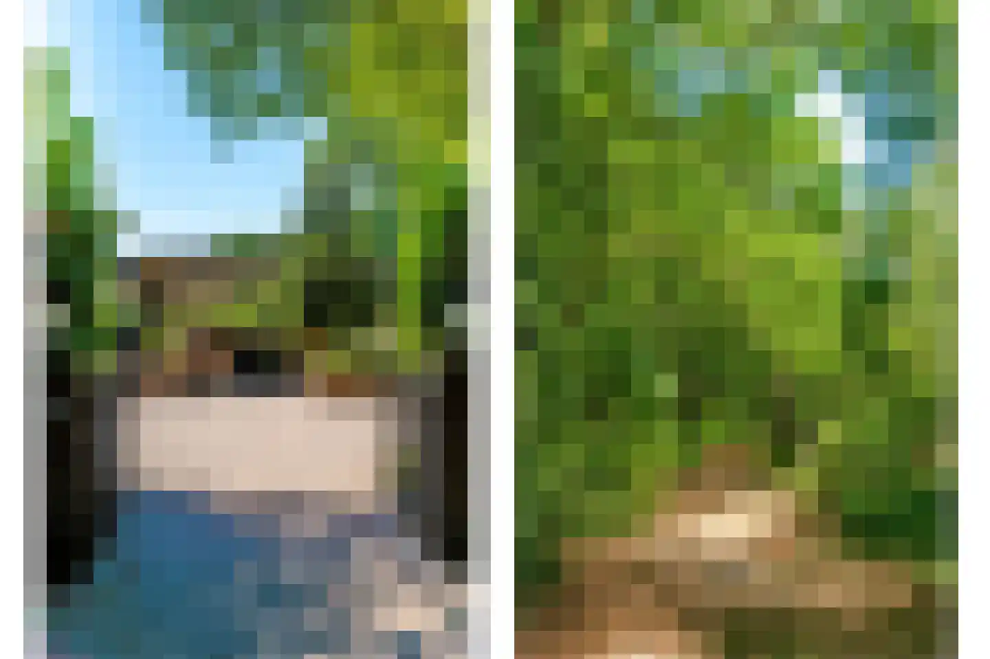 Sterrebosweg 6 Dalfsen thumbnail 4
