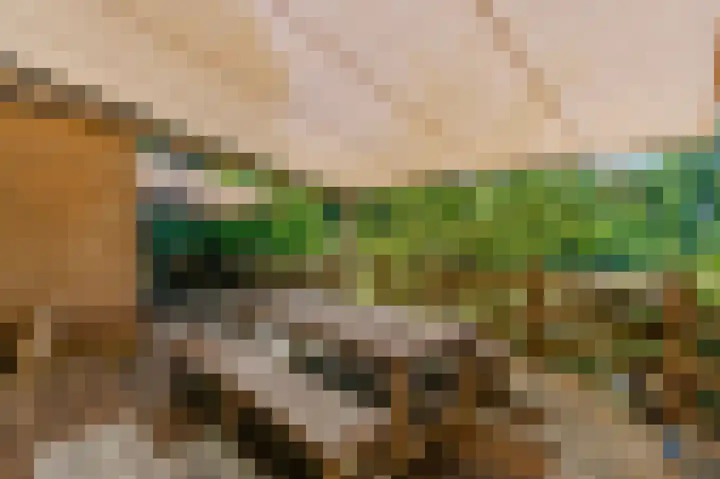 Sterrebosweg 6 Dalfsen thumbnail 40