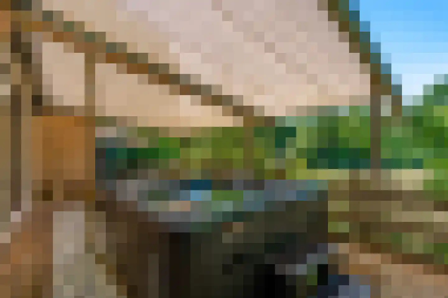 Sterrebosweg 6 Dalfsen thumbnail 42
