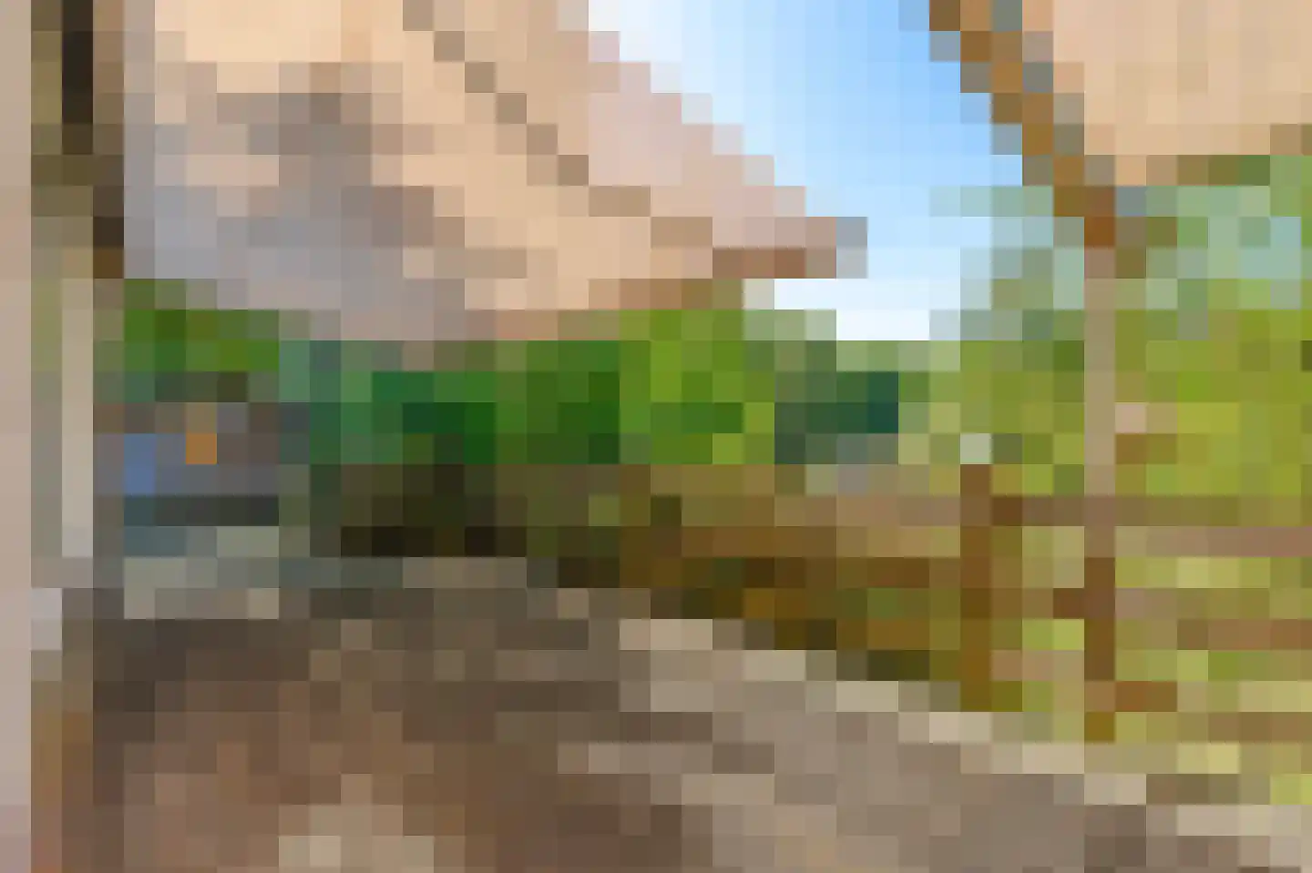 Sterrebosweg 6 Dalfsen thumbnail 45