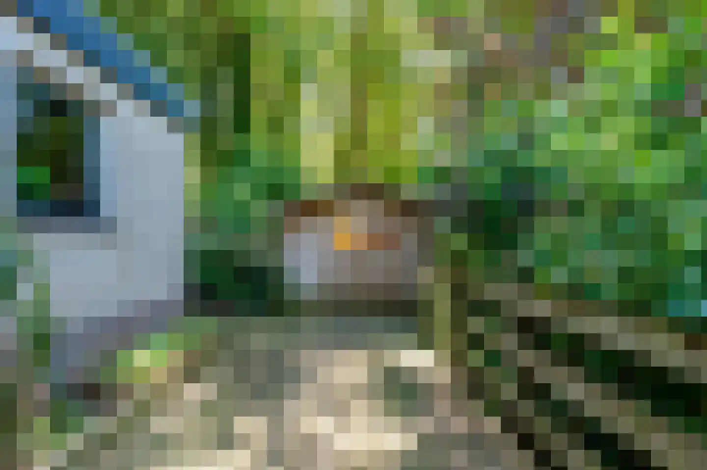 Sterrebosweg 6 Dalfsen thumbnail 47
