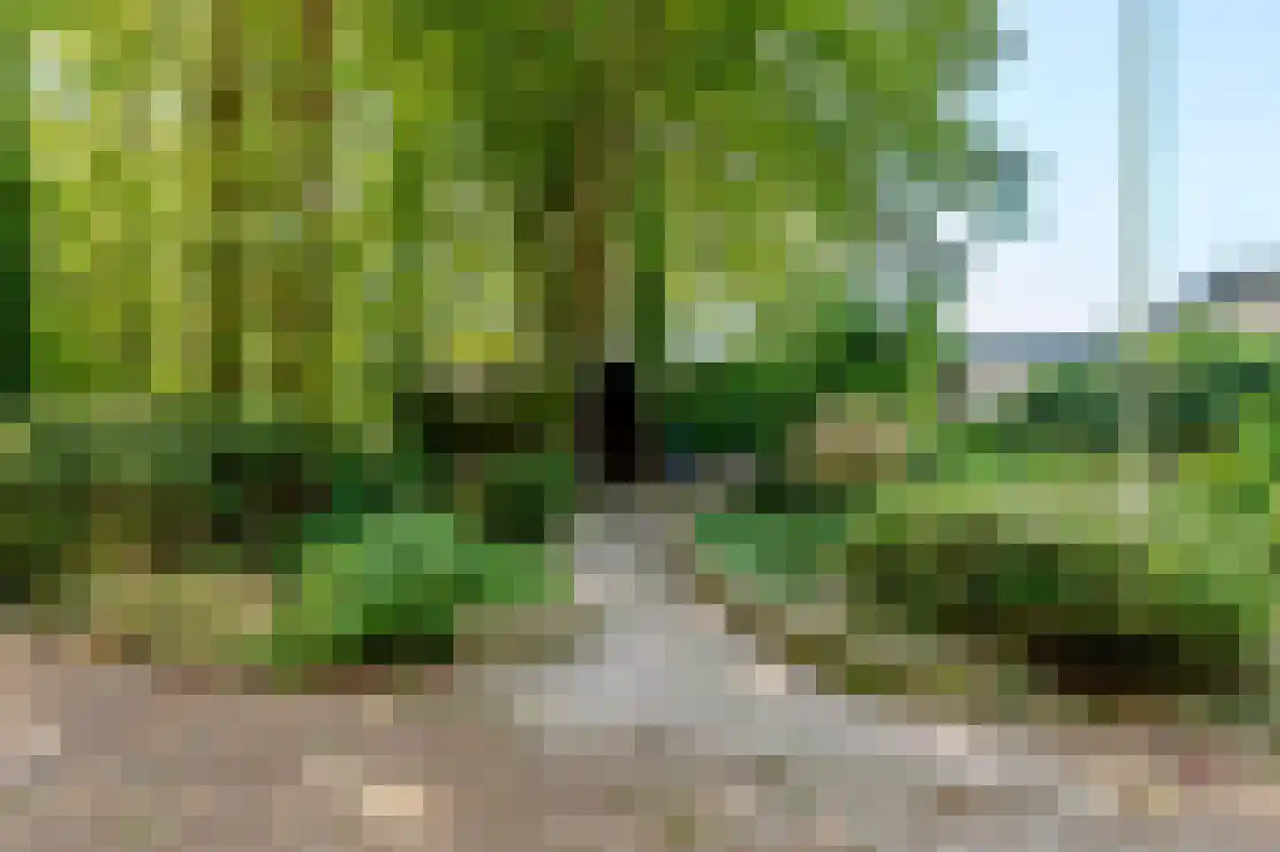 Sterrebosweg 6 Dalfsen thumbnail 50
