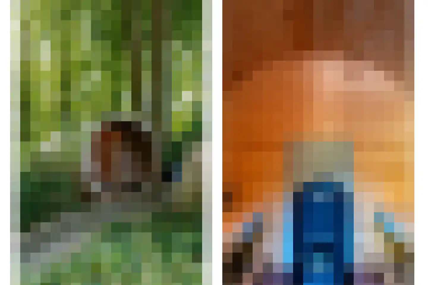 Sterrebosweg 6 Dalfsen thumbnail 51