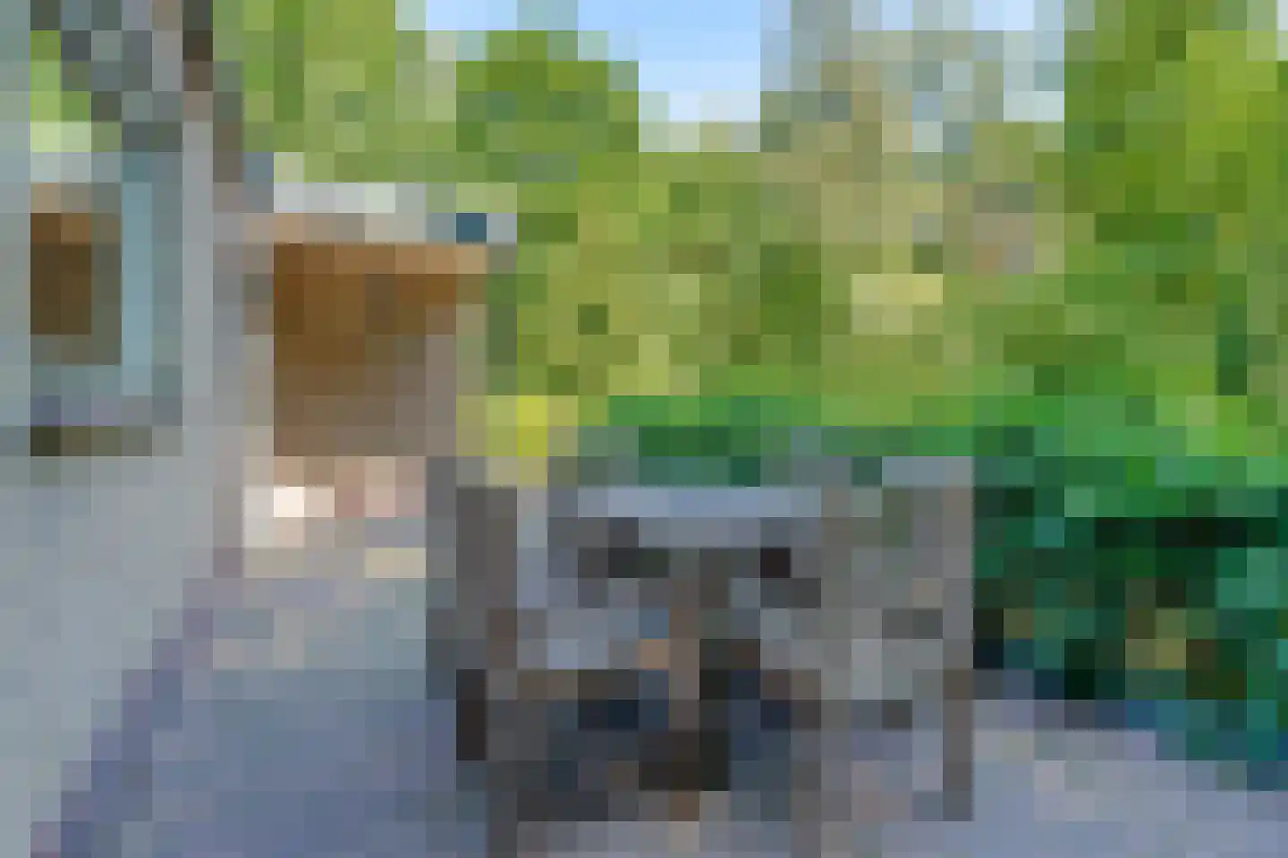 Sterrebosweg 6 Dalfsen thumbnail 53