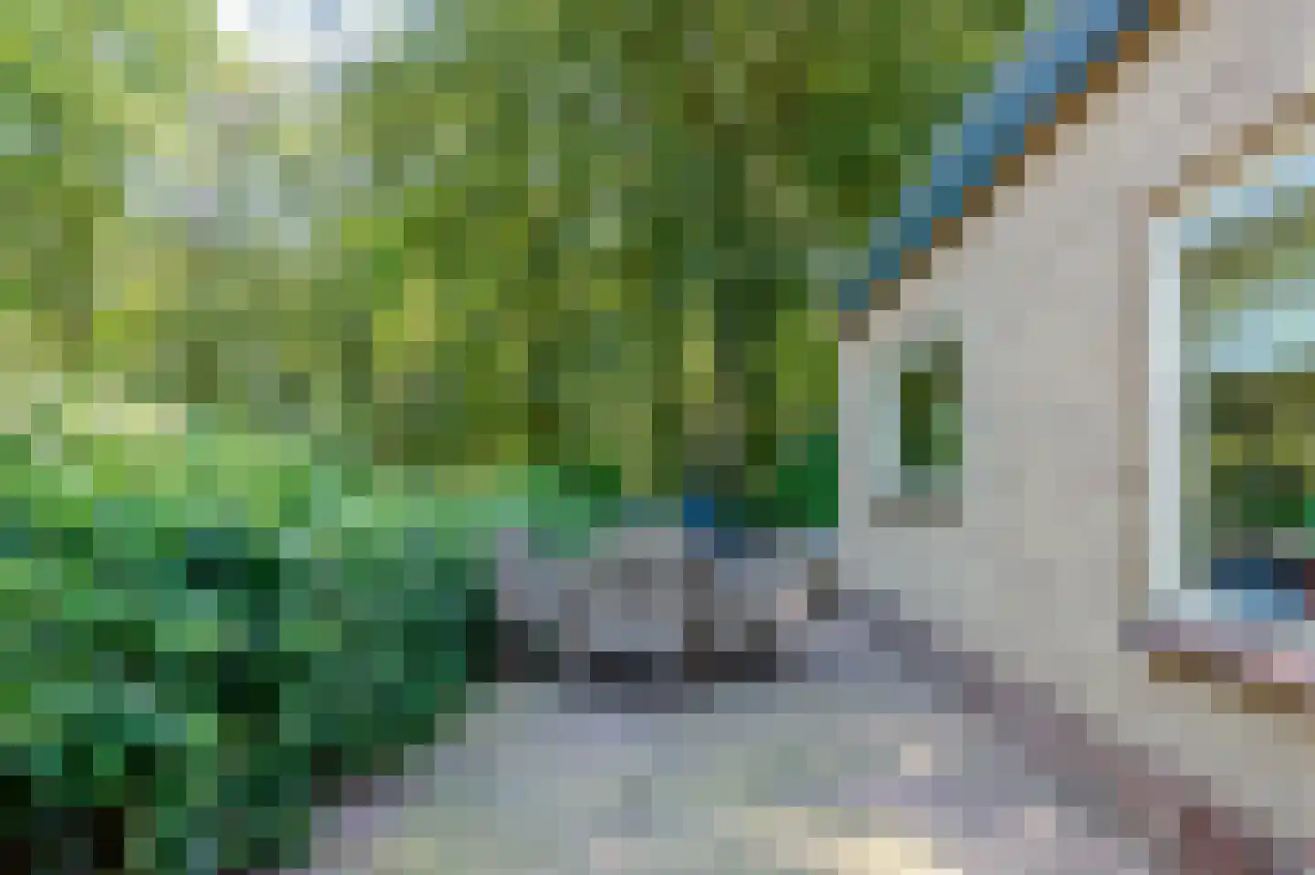 Sterrebosweg 6 Dalfsen thumbnail 54