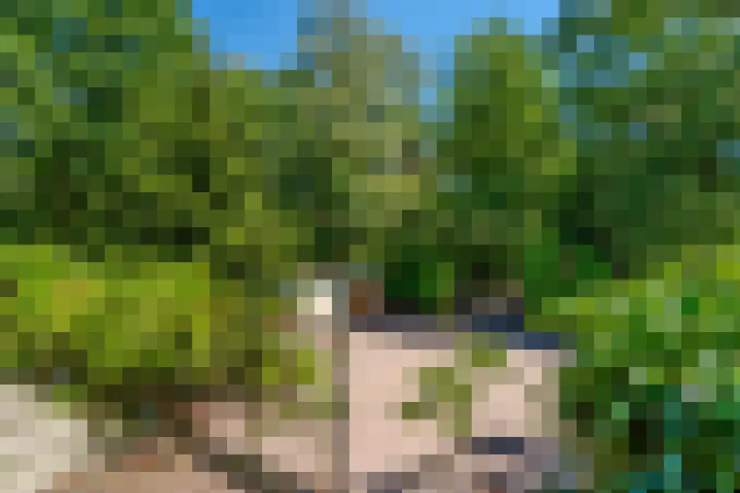 Sterrebosweg 6 Dalfsen thumbnail 55