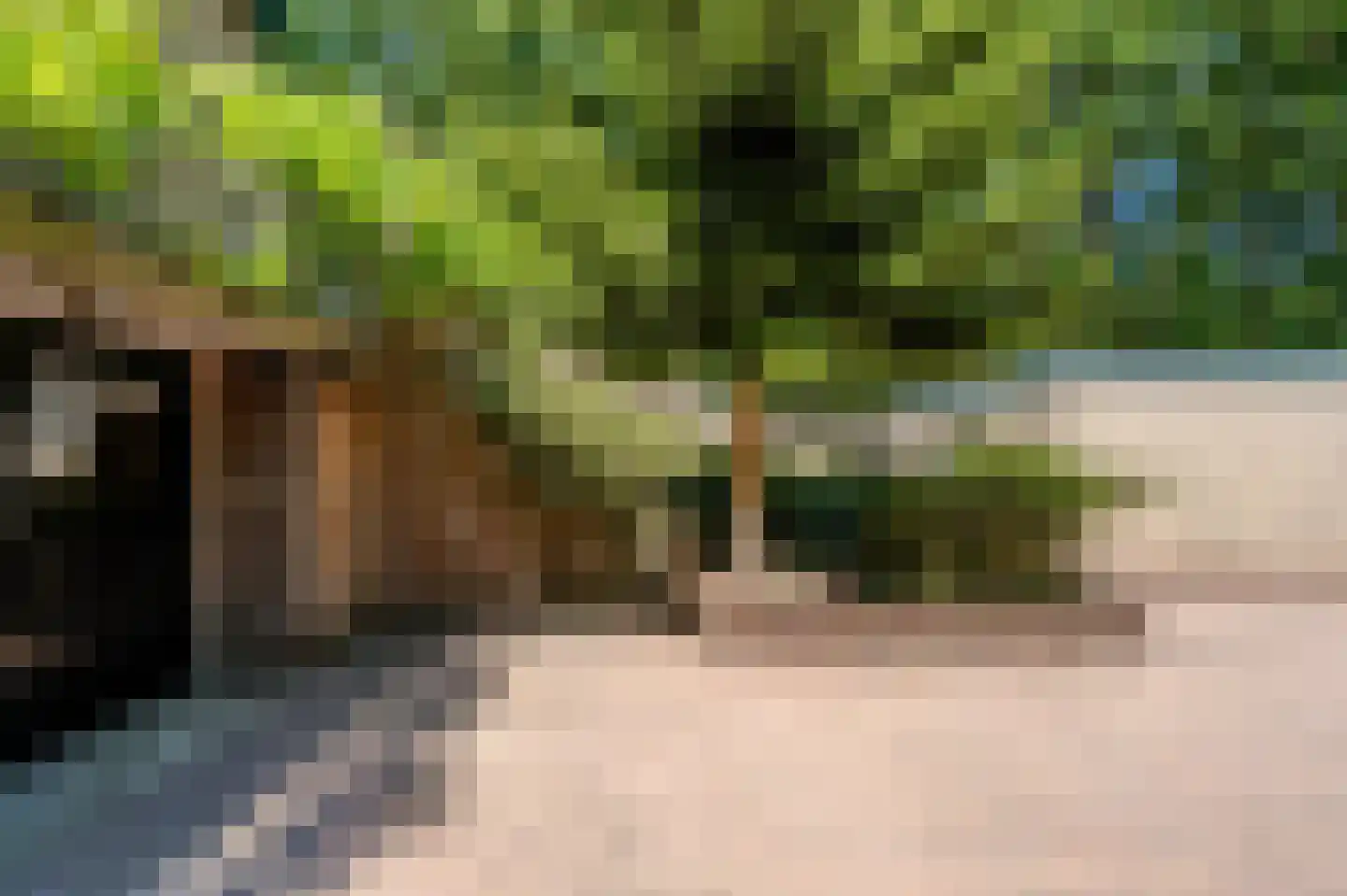 Sterrebosweg 6 Dalfsen thumbnail 56