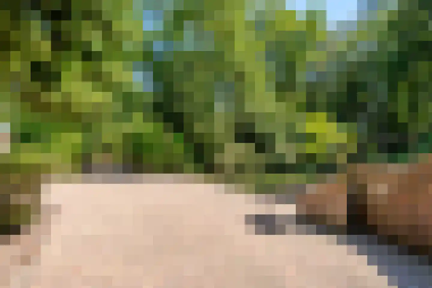 Sterrebosweg 6 Dalfsen thumbnail 59