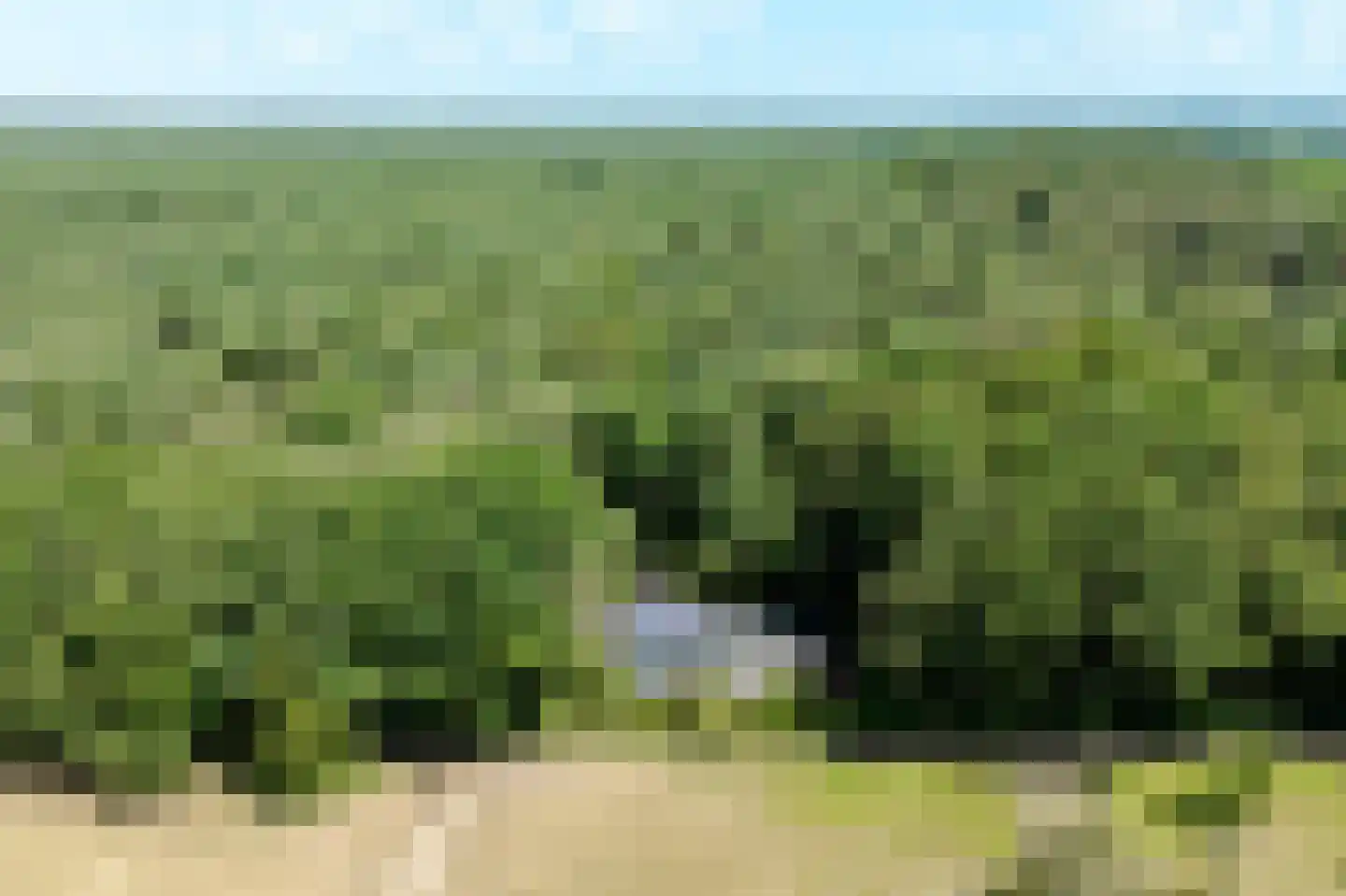 Sterrebosweg 6 Dalfsen thumbnail 6