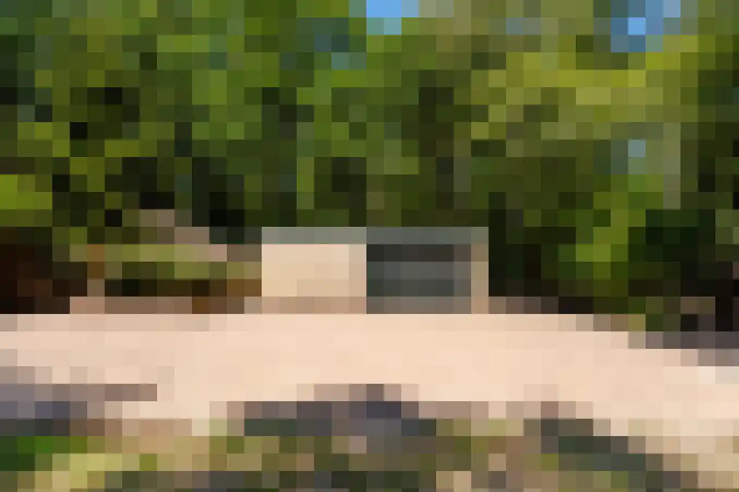 Sterrebosweg 6 Dalfsen thumbnail 60