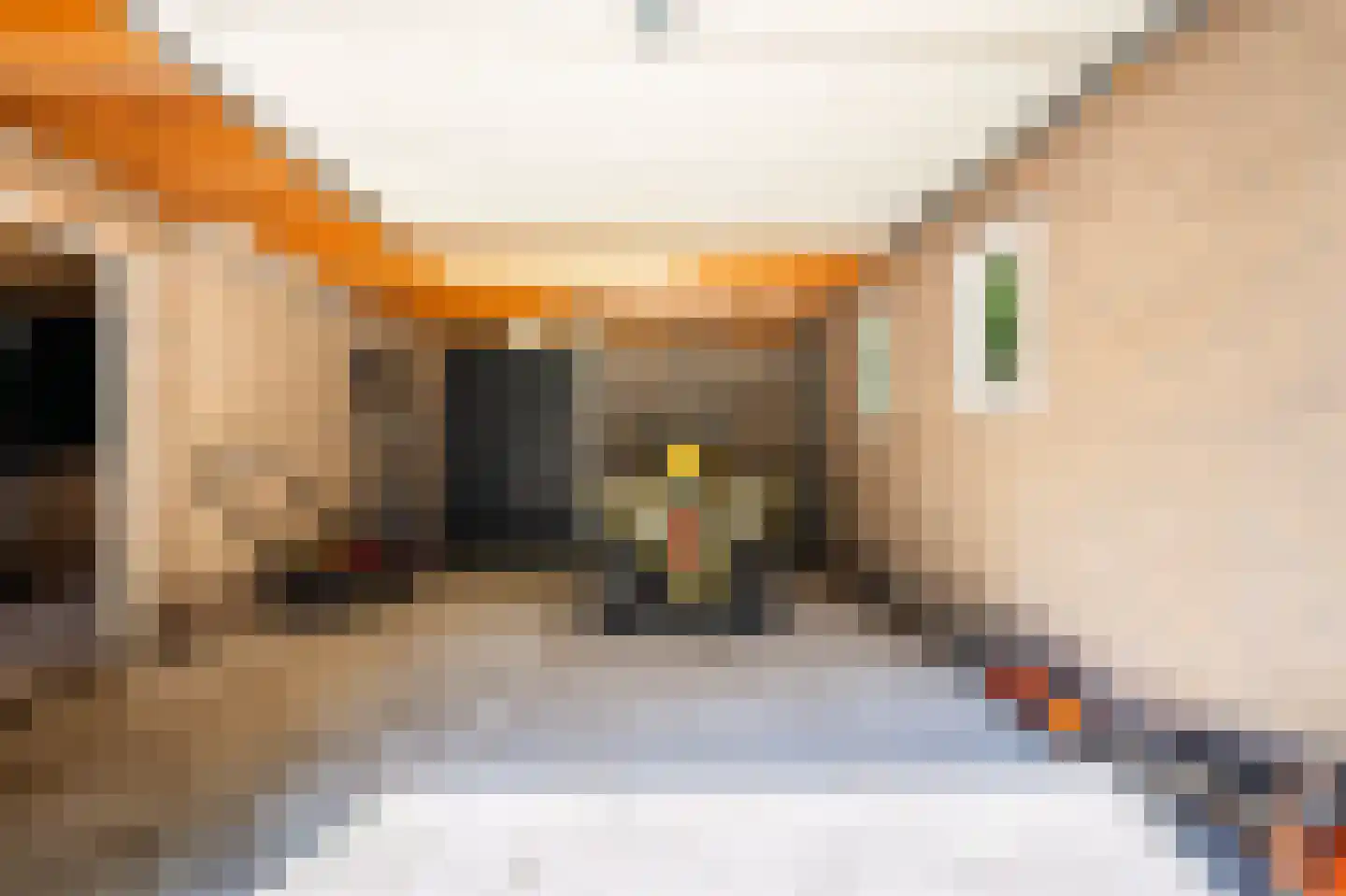 Sterrebosweg 6 Dalfsen thumbnail 63