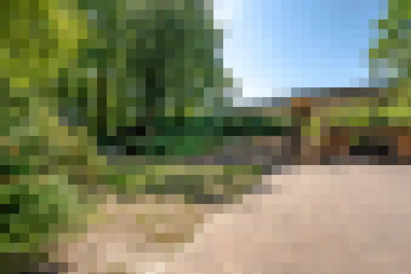 Sterrebosweg 6 Dalfsen thumbnail 65