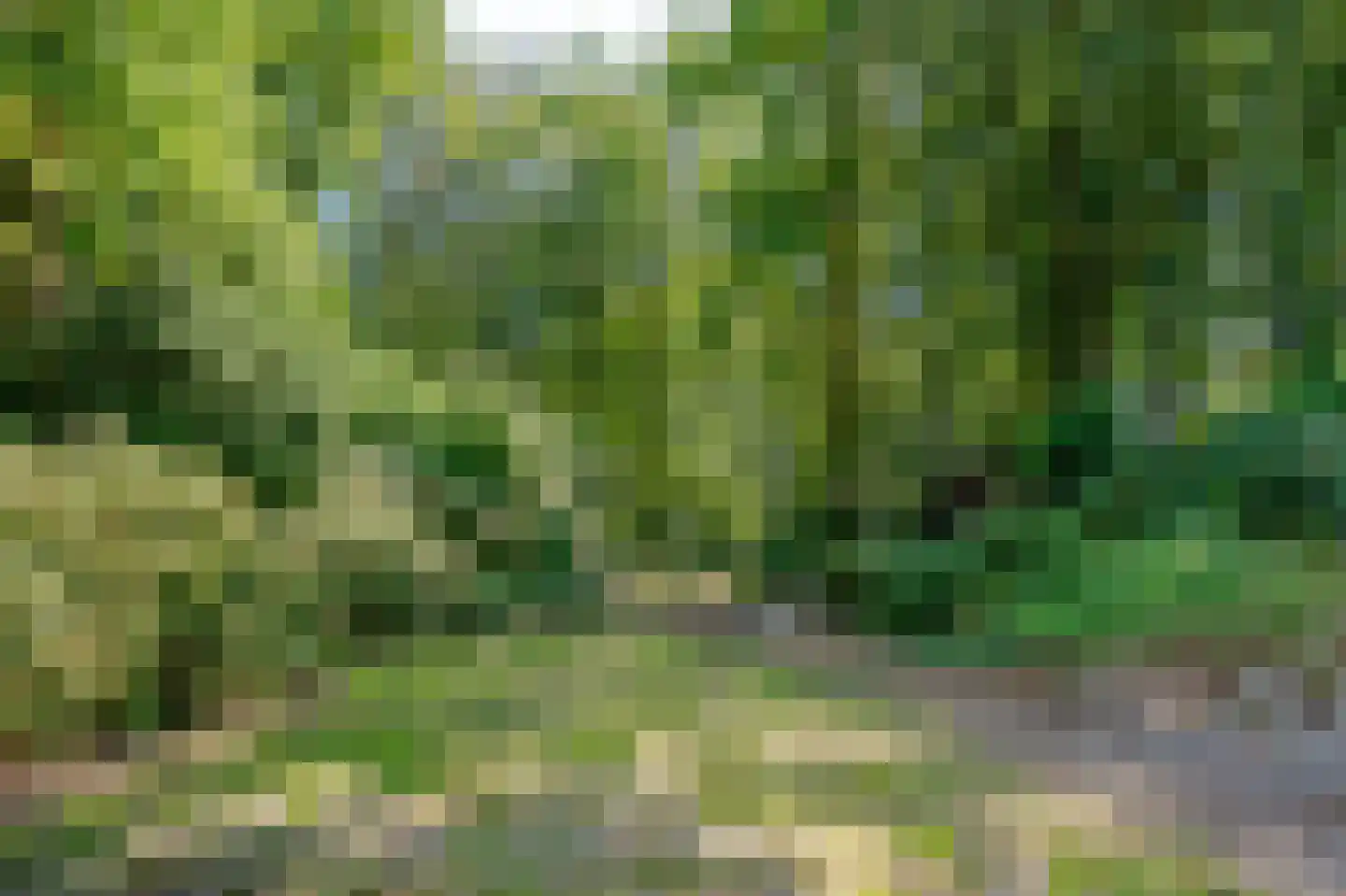 Sterrebosweg 6 Dalfsen thumbnail 66