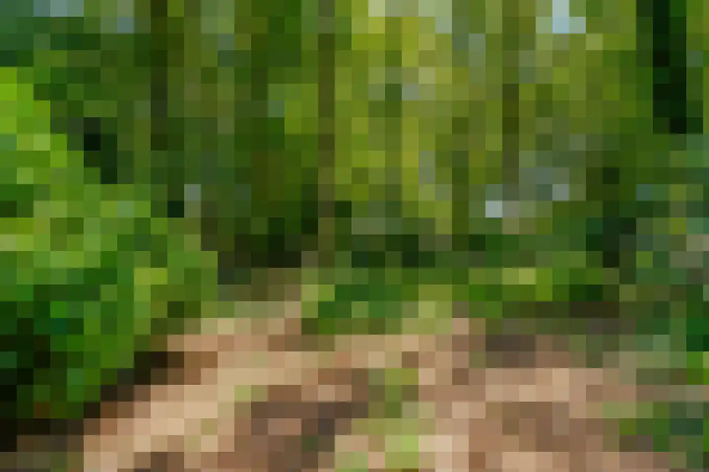 Sterrebosweg 6 Dalfsen thumbnail 67