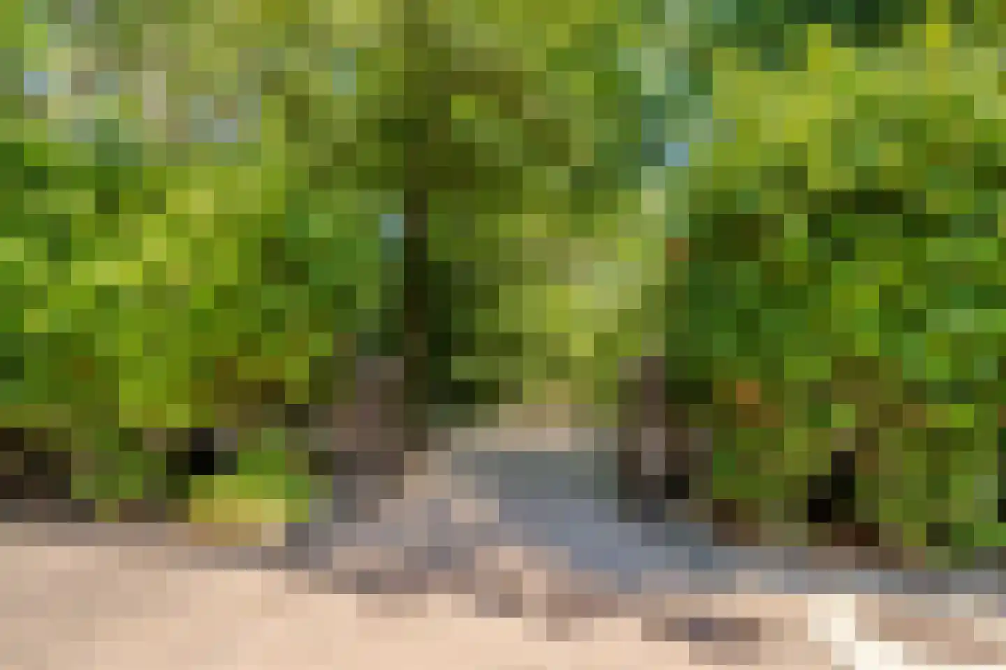 Sterrebosweg 6 Dalfsen thumbnail 68