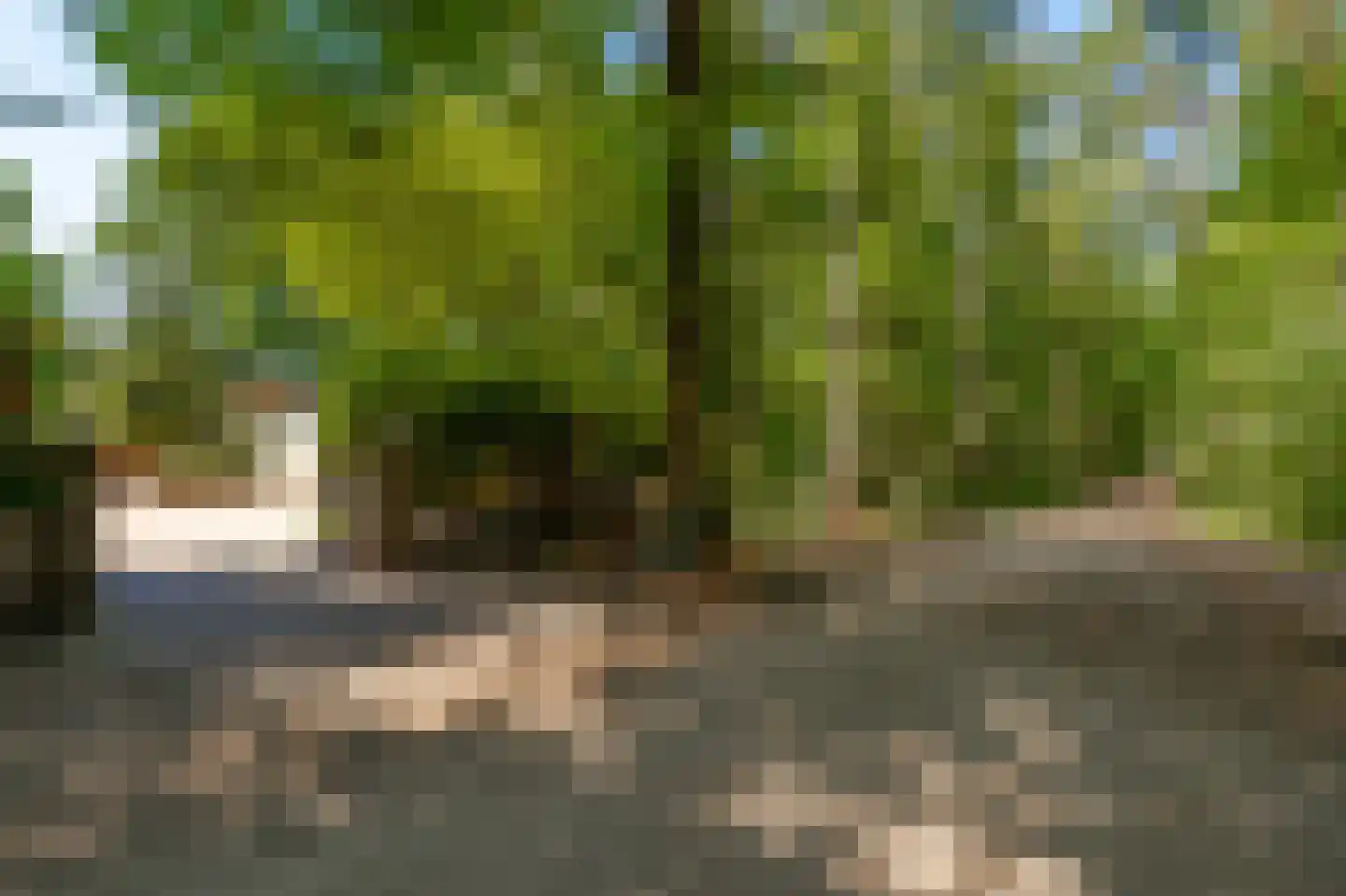 Sterrebosweg 6 Dalfsen thumbnail 69