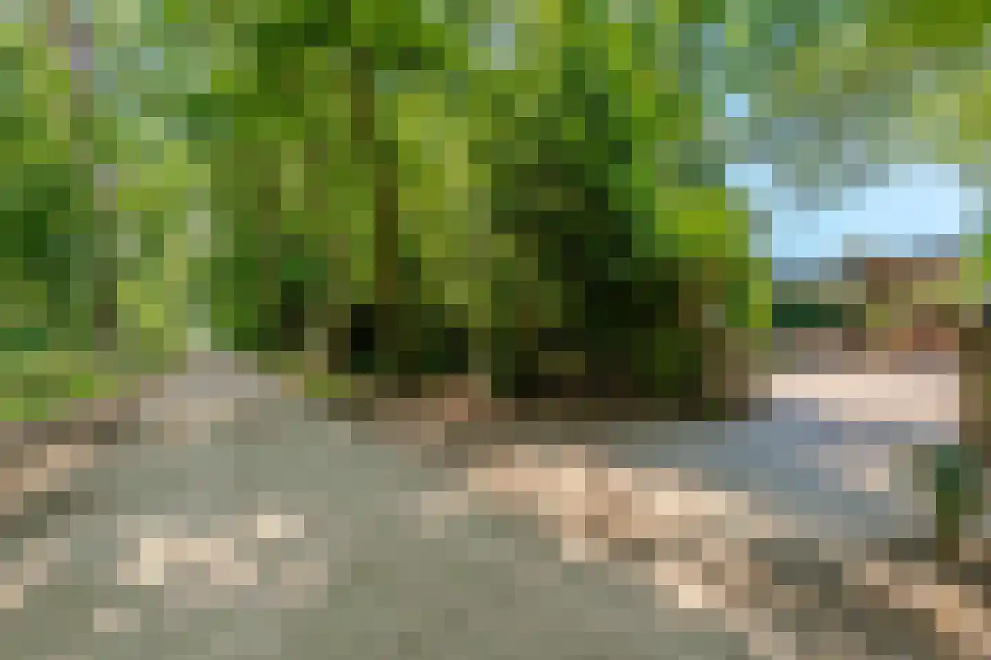 Sterrebosweg 6 Dalfsen thumbnail 70