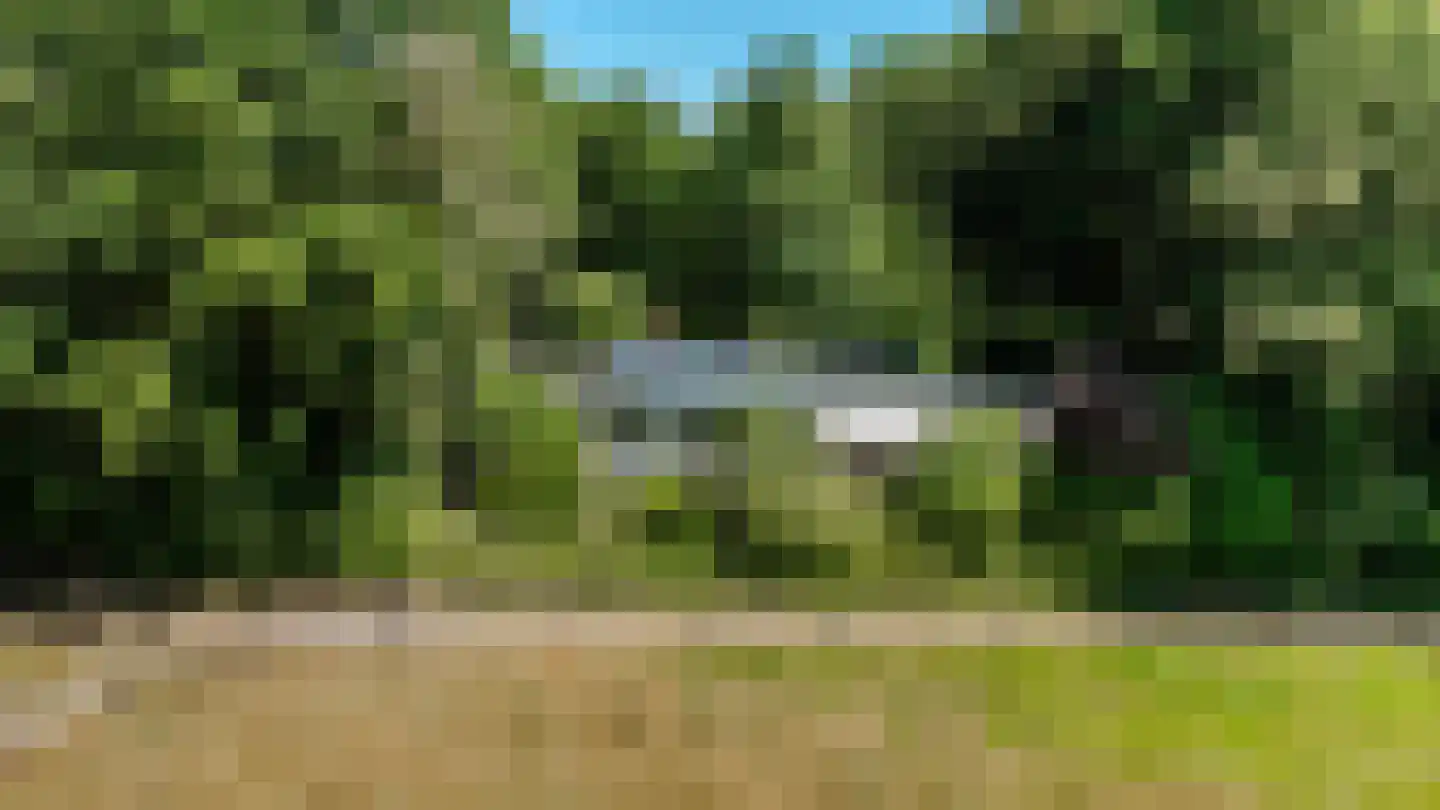 Sterrebosweg 6 Dalfsen thumbnail 71