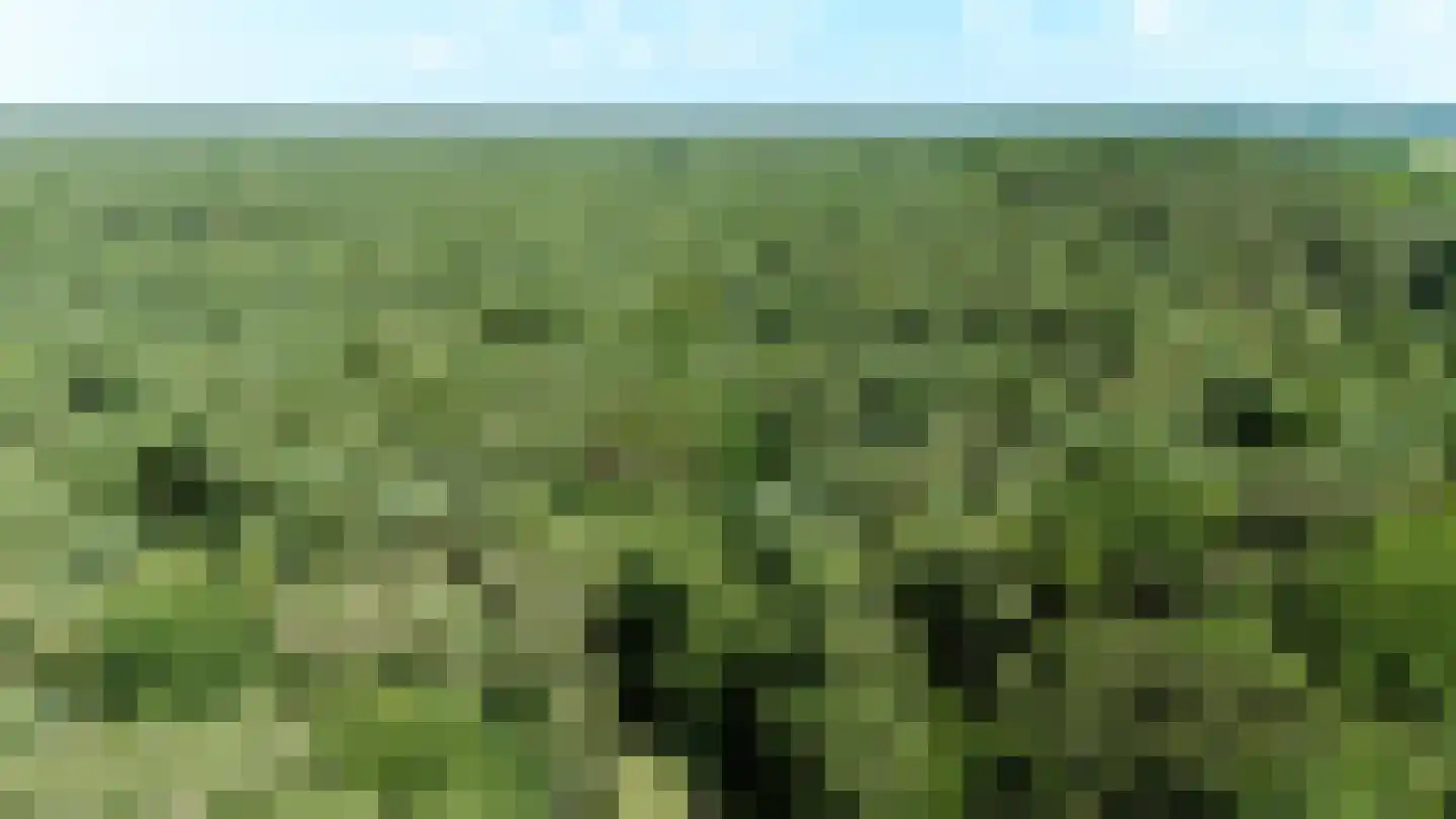 Sterrebosweg 6 Dalfsen thumbnail 72