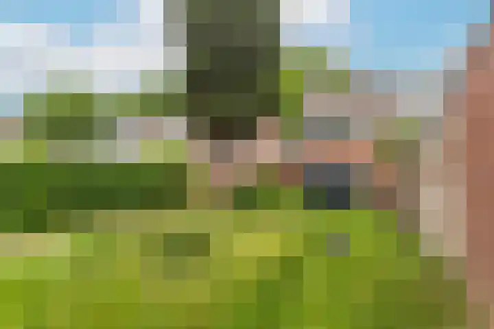 Sterregaarde 7 Nieuwegein thumbnail 10
