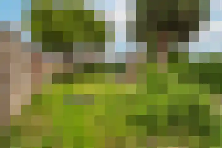 Sterregaarde 7 Nieuwegein thumbnail 11