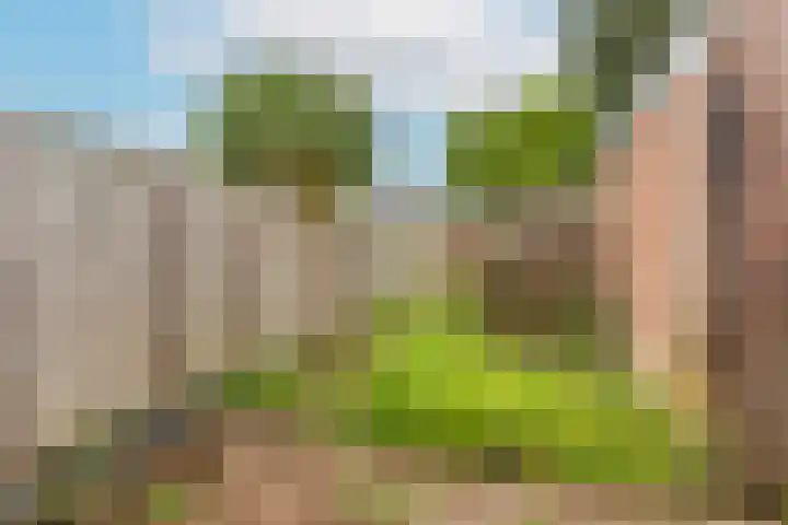 Sterregaarde 7 Nieuwegein thumbnail 12