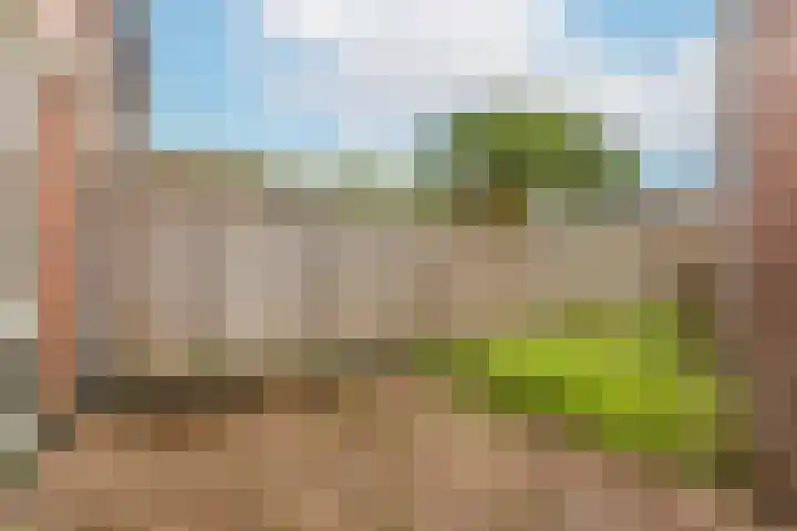Sterregaarde 7 Nieuwegein thumbnail 13