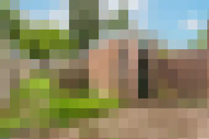 Sterregaarde 7 Nieuwegein thumbnail 14