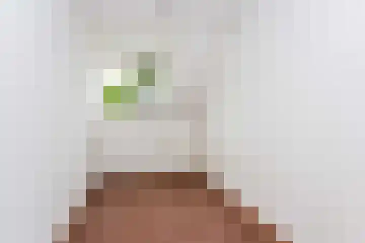 Sterregaarde 7 Nieuwegein thumbnail 22