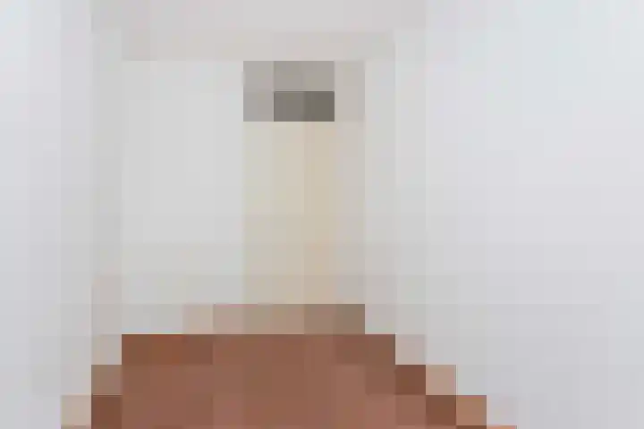Sterregaarde 7 Nieuwegein thumbnail 23