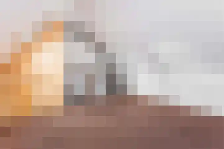 Sterregaarde 7 Nieuwegein thumbnail 30