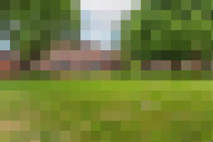 Sterregaarde 7 Nieuwegein thumbnail 33