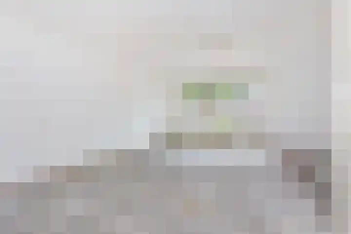 Sterregaarde 7 Nieuwegein thumbnail 4